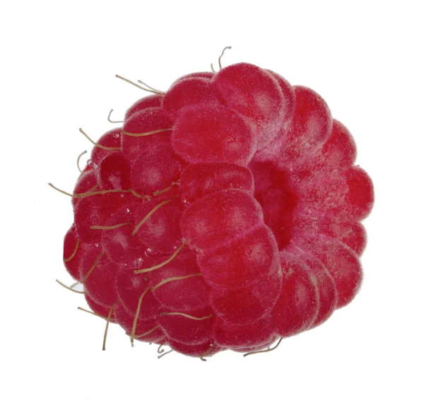 Olgun ahududu yakın çekim 