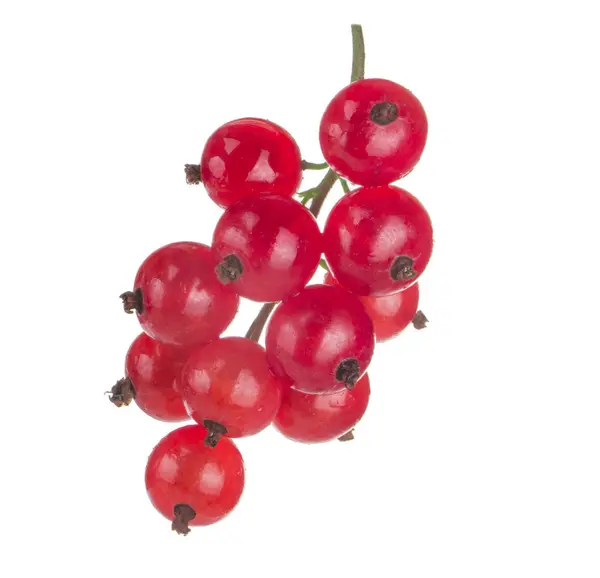 Johannisbeeren Aus Nächster Nähe — Stockfoto