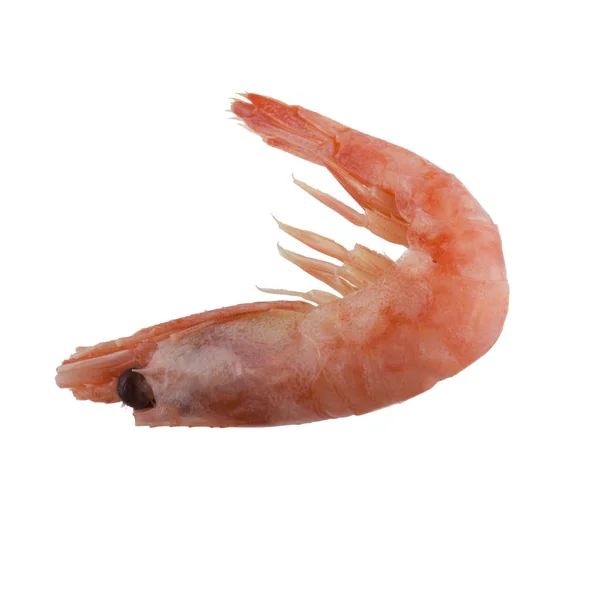 Pink Shrimp Isolated White Background — Stock Photo, Image