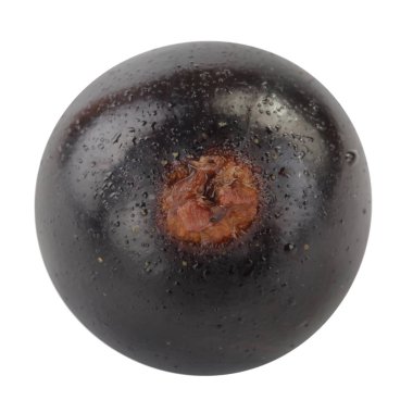 kuş üzümü berry yakın