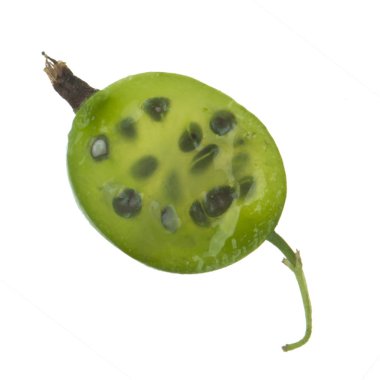 Olgun bektaşi üzümü yakın çekim