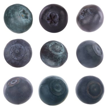 Olgun yaban mersinleri. Kapatın. 