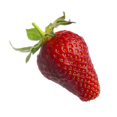 yabani çilek yakın çekim 