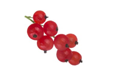 kuş üzümü berry yakın