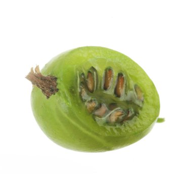 Olgun bektaşi üzümü yakın çekim