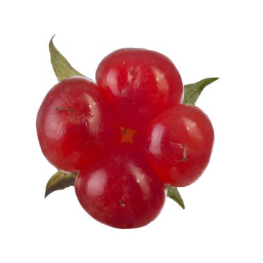 olgun bramble yakın