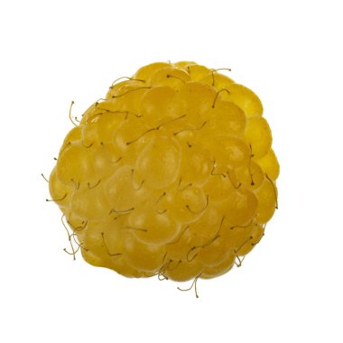 Olgun ahududu yakın çekim 