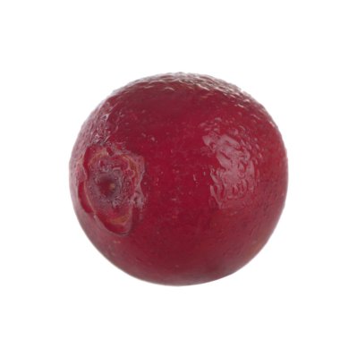 olgun bearberry yakın 