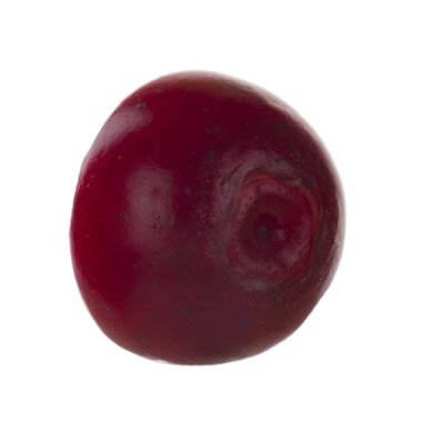 olgun bearberry yakın 