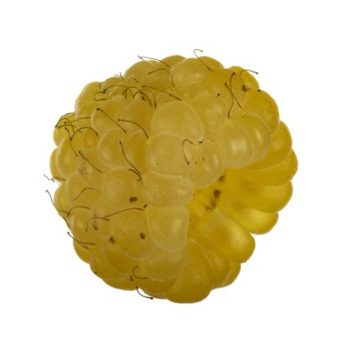 Olgun ahududu yakın çekim 