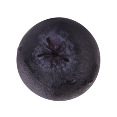 Olgun yaban mersinleri. Kapatın. 