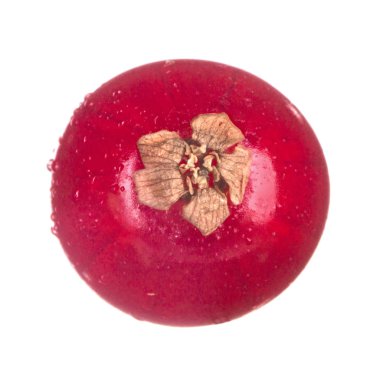 kuş üzümü berry yakın