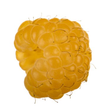 Olgun ahududu yakın çekim 