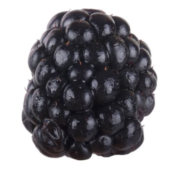 olgun tatlı böğürtlen beyaz arka plan izole, yakın çekim 