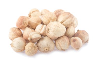 beyaz karadamon, beyaz arka plan üzerinde izole