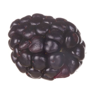 olgun tatlı böğürtlen beyaz arka plan izole, yakın çekim 