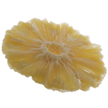 izole ananas kurutulmuş dilim