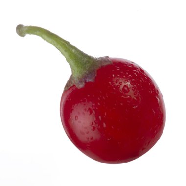 olgun dulcamara yakın