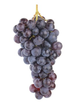 Olgun üzüm yakın çekim 