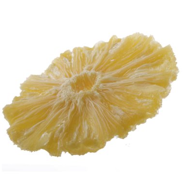 izole ananas kurutulmuş dilim