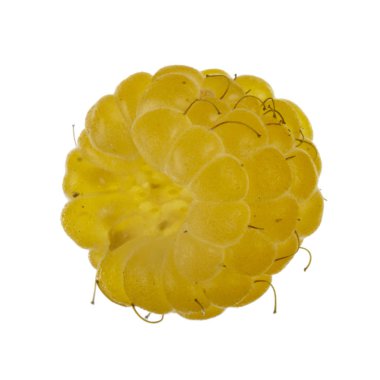 Olgun ahududu yakın çekim 