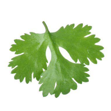 arkaplanda yeşil yapraklar, kapat