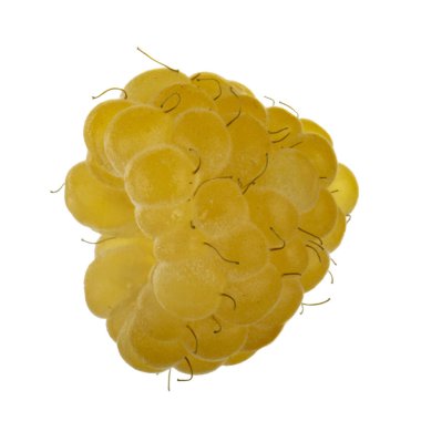 Olgun ahududu yakın çekim 