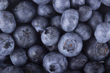 Olgun yaban mersinleri. Kapatın. 