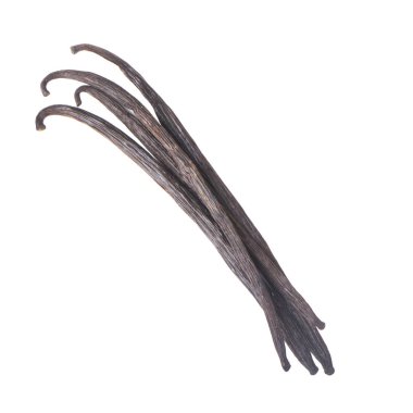 vanilya sapları, beyaz arka plan üzerinde izole