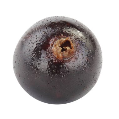 kuş üzümü berry yakın