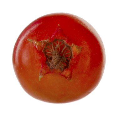 Beyaz arka planda izole alıç berry, yakın çekim 