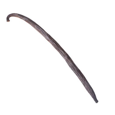 arka planda aromatik bitki, yakın