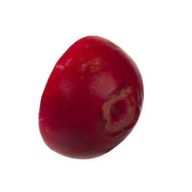 olgun bearberry yakın 