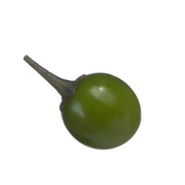 olgun dulcamara yakın