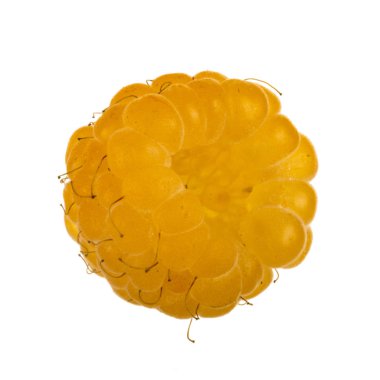 Olgun ahududu yakın çekim 