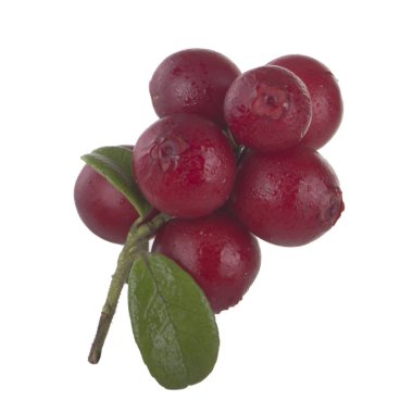 beyaz arka plan üzerinde izole olgun cowberries, yakın çekim  