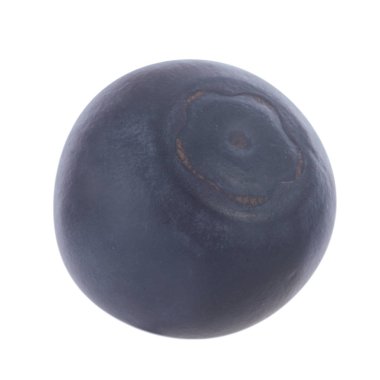 Olgun yaban mersinleri. Kapatın. 