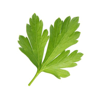 arka planda aromatik bitki, yakın