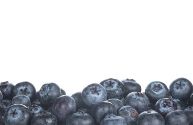 Olgun yaban mersinleri. Kapatın. 