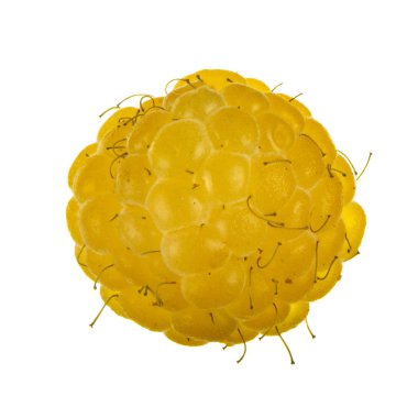 Olgun ahududu yakın çekim 