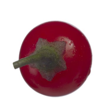 olgun dulcamara yakın