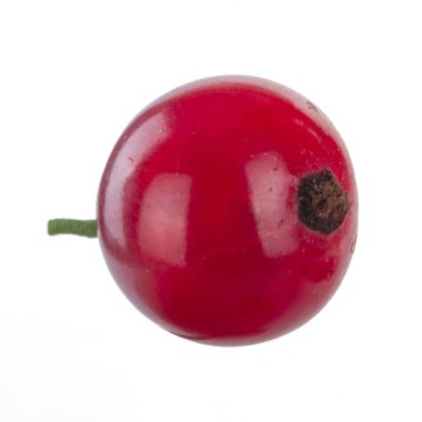 kuş üzümü berry yakın