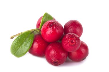 beyaz arka plan üzerinde izole olgun cowberries, yakın çekim  