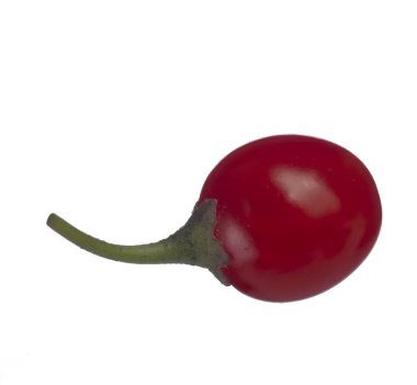 olgun dulcamara yakın