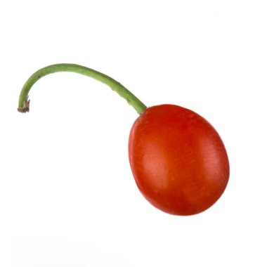 convallaria majalis yakın 