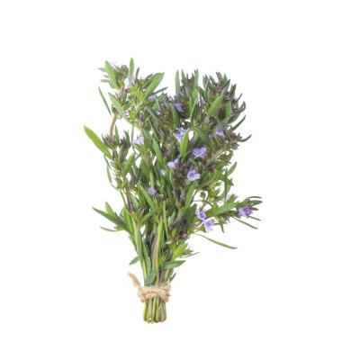 arka planda aromatik bitki, yakın
