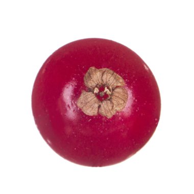 kuş üzümü berry yakın