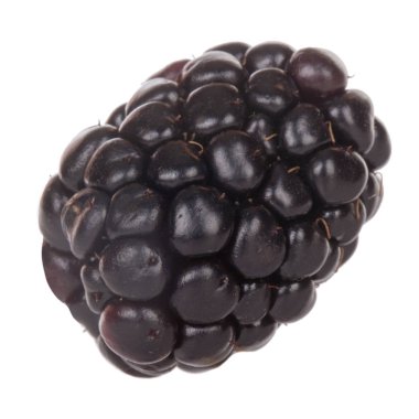 olgun tatlı böğürtlen beyaz arka plan izole, yakın çekim 