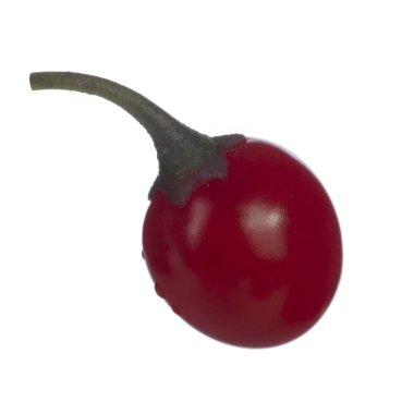 olgun dulcamara yakın