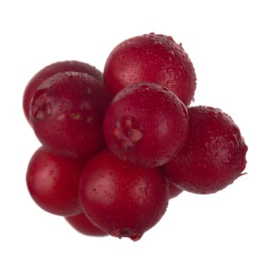 beyaz arka plan üzerinde izole olgun cowberries, yakın çekim  